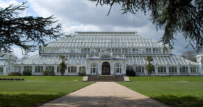 Kew Gardens – Temperate House.